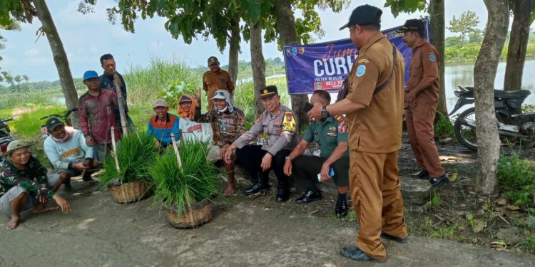Kapolsek Bluluk dan Danramil Bluluk Berdialog dengan Petani: Sampaikan Pesan Kamtibmas