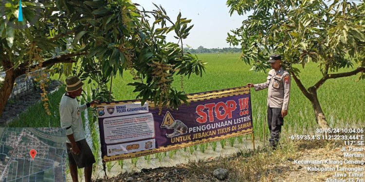Petugas Jaga Polsek Karanggeneng Polres Lamongan Polda jatim Imbau petani agar tidak menggunakan listrik jebak tikus