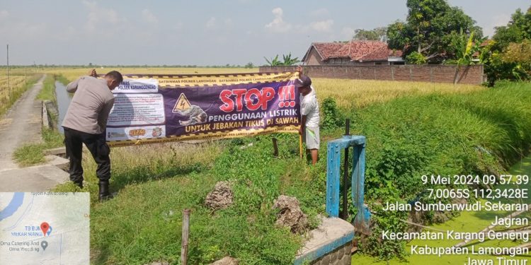 Petugas Jaga Sosialisasi Larangan Jebakan Tikus Gunakan Listrik di Wilhuk Polsek Karanggeneng Polres Lamongan Polda Jatim