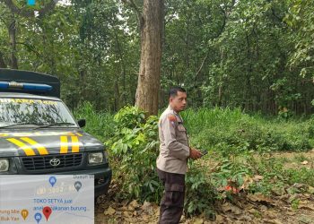 Anggota Polsek Mantup Polres Lamongan melaksanakan patroli ke wilayah hutan untuk mencegah terjadinya bencana alam