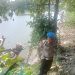 Aipda H. Rouf M Pimpin Pantau Bengawan Solo yang Lintasi Wilhuk Polsek Karanggeneng Polres Lamongan Polda Jatim, antisipasi tanah longsor
